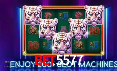 bet5577 cassino online